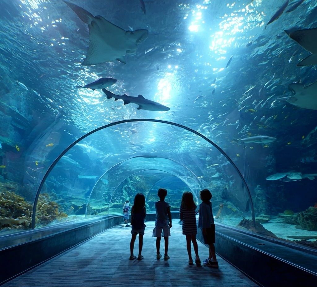 aquarium de lisbonne