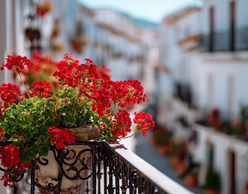 découvrir ronda andalousie