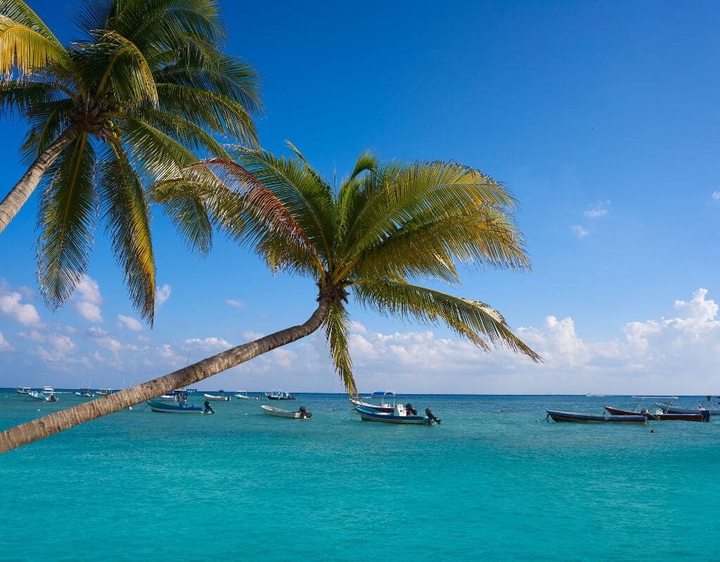 s'expatrier à playa del carmen