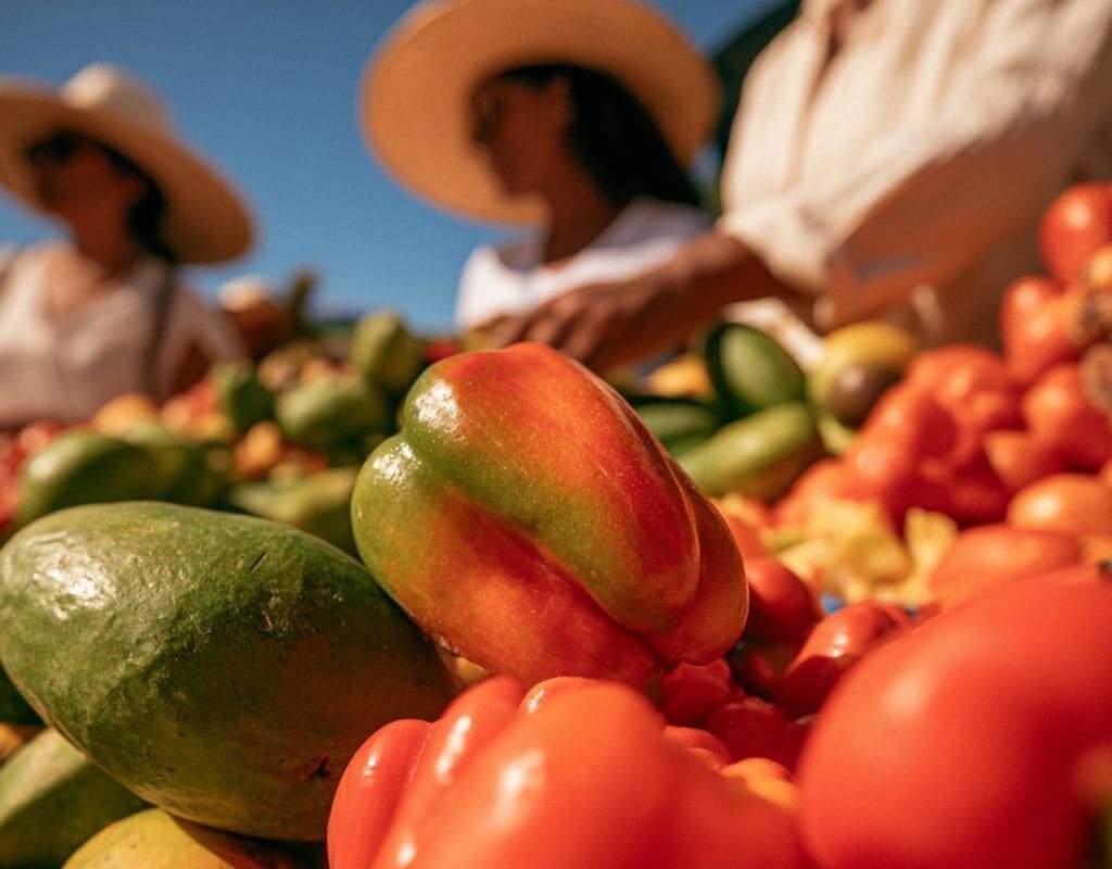 quel budget pour vivre au costa rica